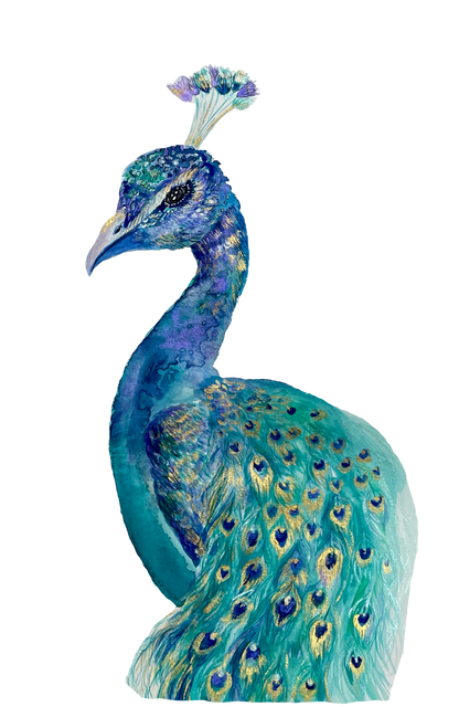 “Emerald Peacock” Print