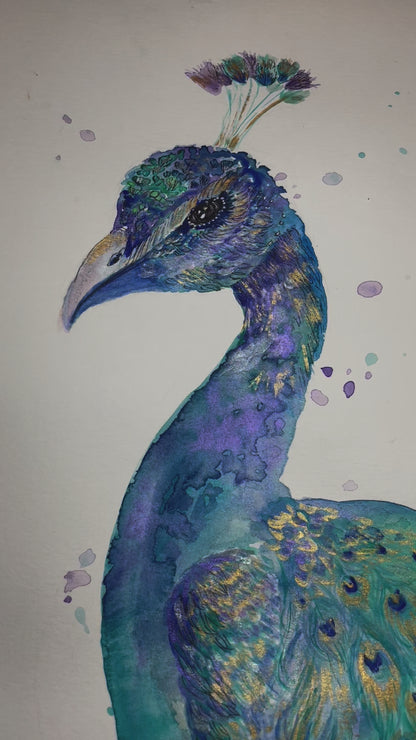 “Emerald Peacock” Print
